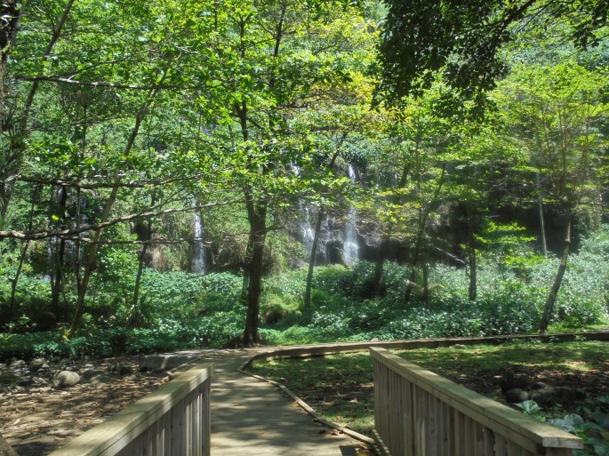 Anse des Cascades, Ile de la Réunion