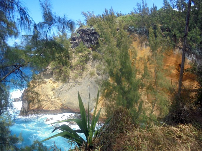 cap jaune ile de la réunion 2