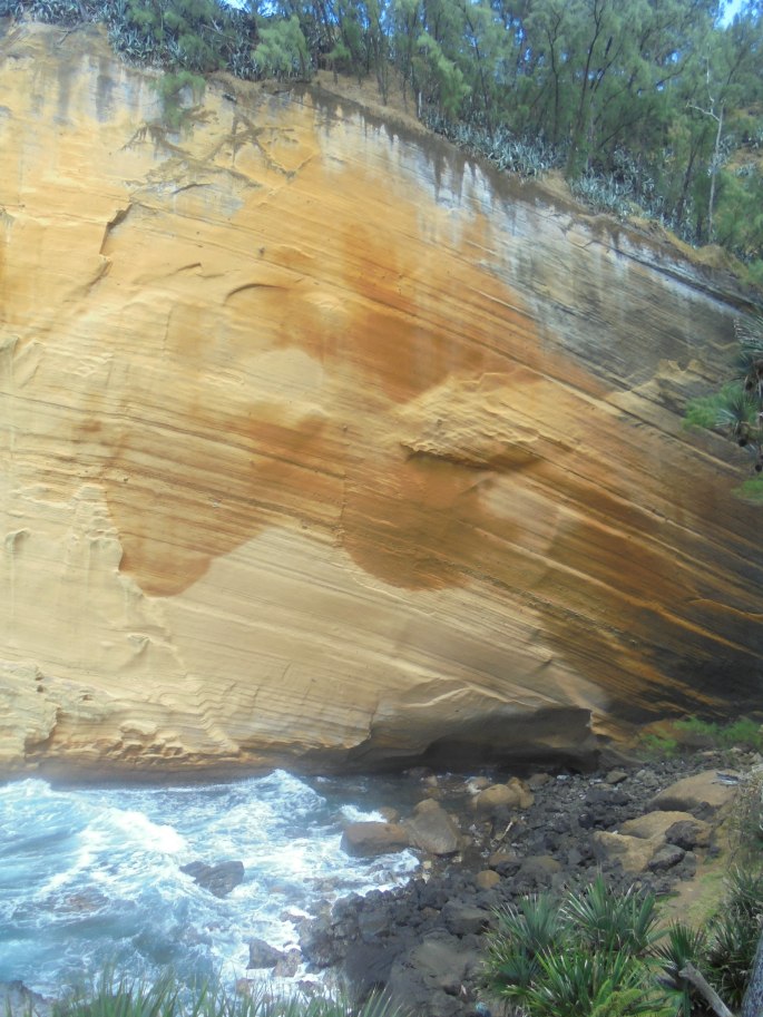 Randonnée Cap Jaune, Ile de la Réunion