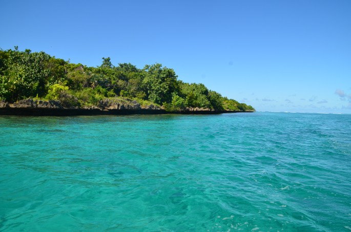 Ile aux aigrettes , Ile Maurice - Mauritius