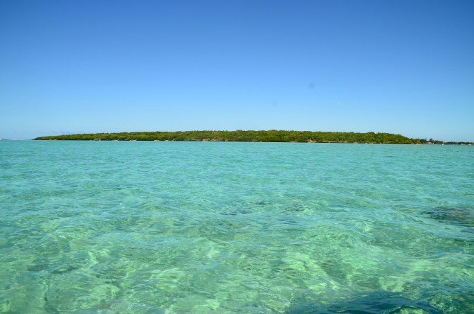 Ile aux aigrettes , Ile Maurice - Mauritius