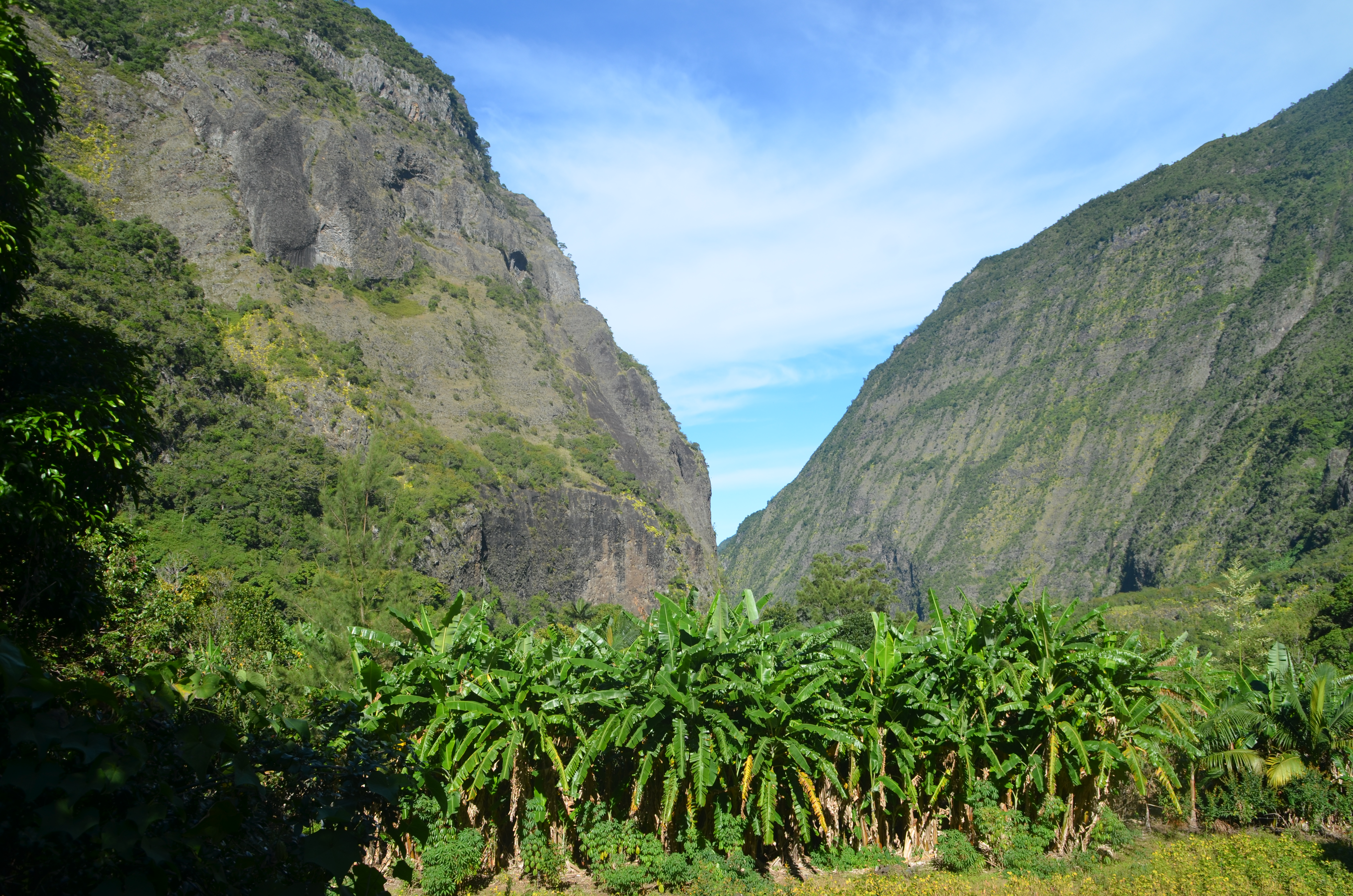 Grand bassin, ile de la réunion