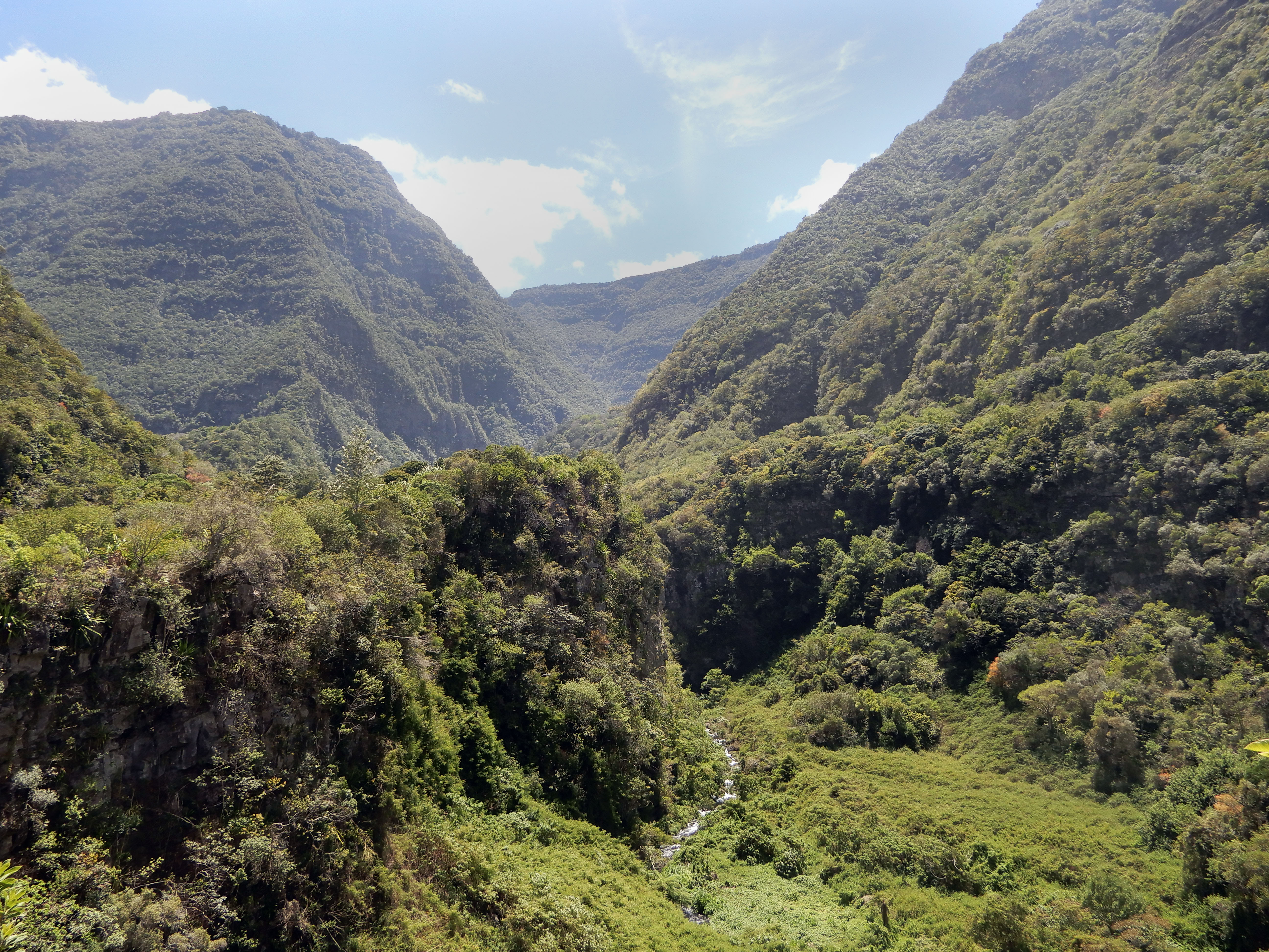Randonnée Grand Bassin, Ile de la Réunion