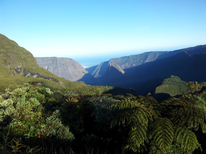 Col des boeufs ile de la réunion