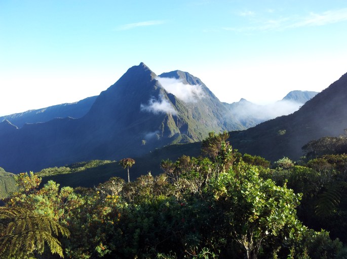 Col des boeufs, ile de la réunion