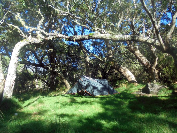 Camping à la plaine des tamarins, ile de la réunion