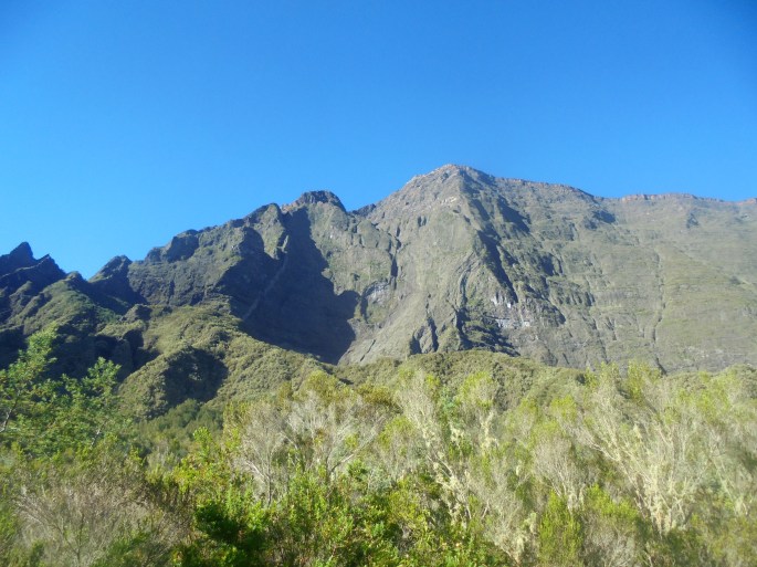 Marla, ile de la réunion