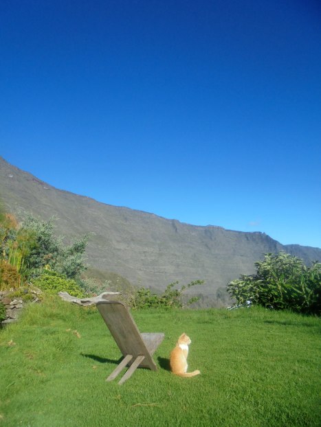 Marla, ile de la réunion