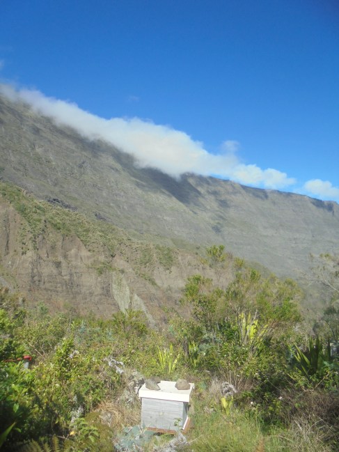 Miellerie de Marla , Mafate, Ile de la Réunion