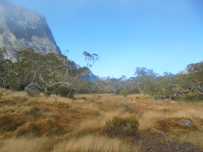 la Plaine des Tamarins, Ile de la Réunion