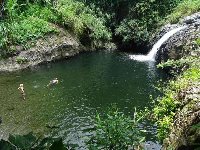 Cascade Délices, Sainte-Suzanne, Ile de la Réunion