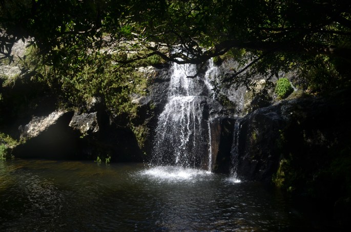 Bassin Bois, ile de la réunion