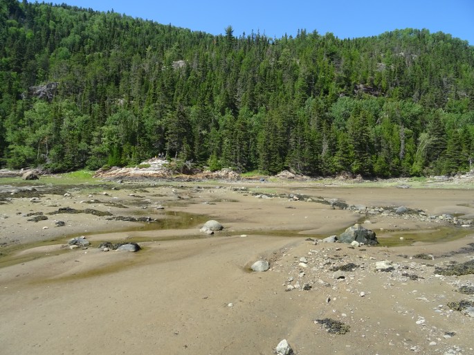 Anse à la barque point de vue parc national du fjord de saguenay tadoussac québec canada randonnée