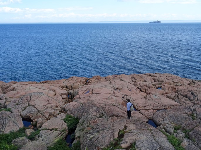Les Escoumins observation des baleines Québec Canada