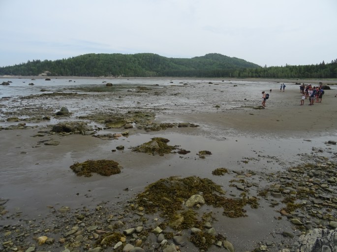 Road trip Québec Gaspésie Canada Rimouski Parc national du Bic