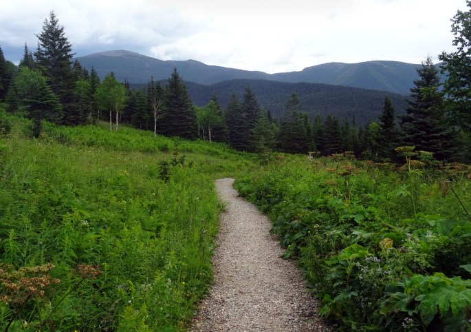 Road trip Québec Gaspésie Canada Parc national de la Gaspésie Mont Ernest-Laforce randonnée