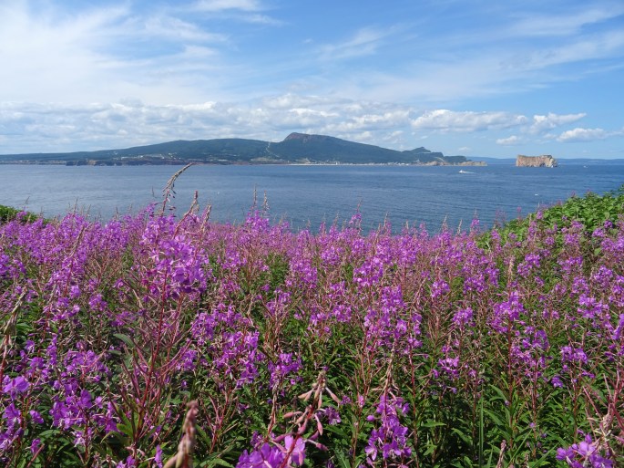 Itinéraire Road trip tour de la Gaspésie Québec Canada Parc national de l'île bonaventure et du rocher percé