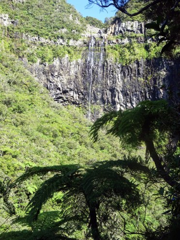 Tour bassin trou noir foret bébour plaine des palmistes randonnée ile de la réunion