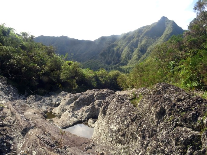 Tour bassin trou noir foret bébour plaine des palmistes randonnée ile de la réunion