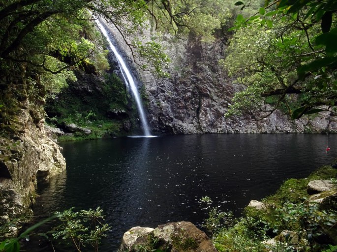 Tour bassin trou noir foret bébour plaine des palmistes randonnée ile de la réunion
