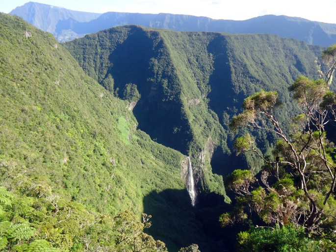 Randonnée plaine des palmistes Ile de la Réunion Trou de fer forêt de Bélouve