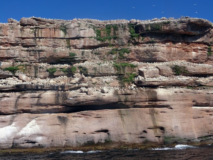 Itinéraire Road trip tour de la Gaspésie Québec Canada Parc national de l'île bonaventure et du rocher percé