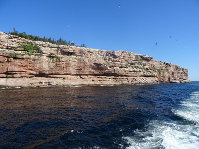 Itinéraire Road trip tour de la Gaspésie Québec Canada Parc national de l'île bonaventure et du rocher percé