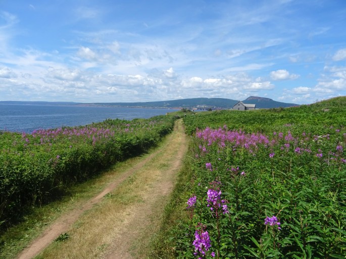Itinéraire Road trip tour de la Gaspésie Québec Canada Parc national de l'île bonaventure et du rocher percé