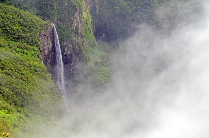 Randonnée plaine des palmistes Ile de la Réunion Trou de fer forêt de Bélouve