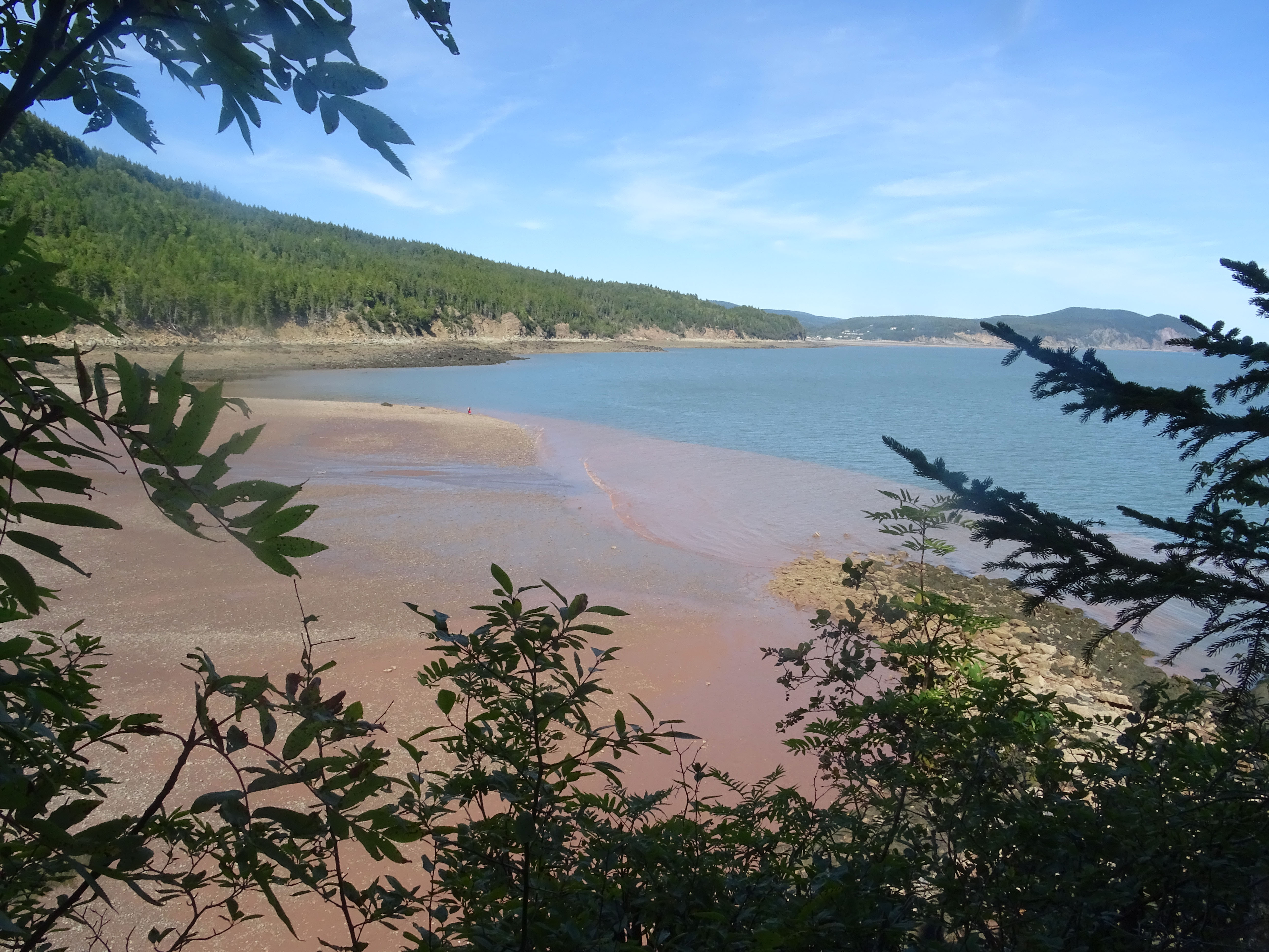 Plage Nouveau brunswick herring cove parc national fundy canada