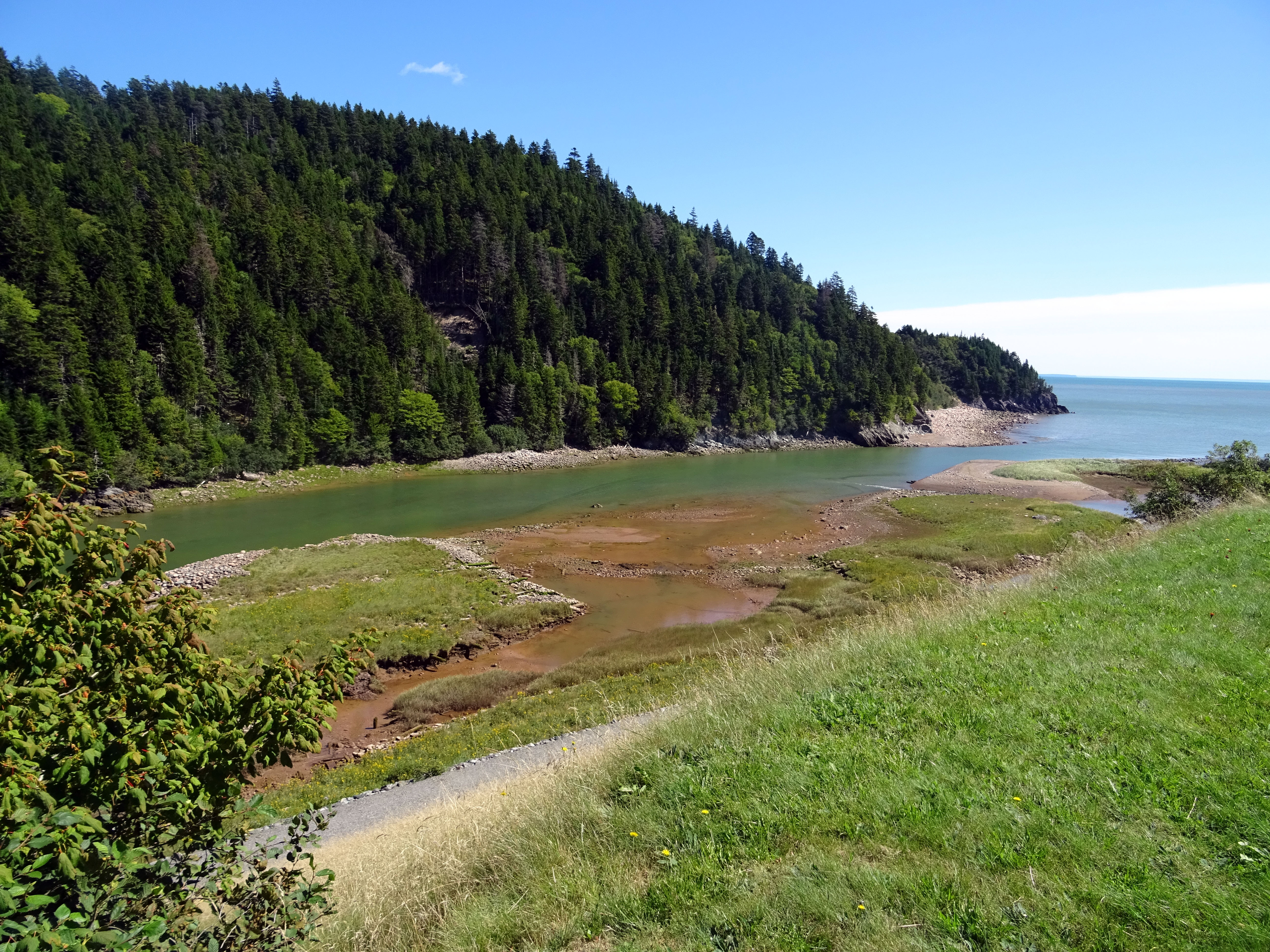Bil salmon river Fundy trail nouveau brunswick voyage Canada road trip