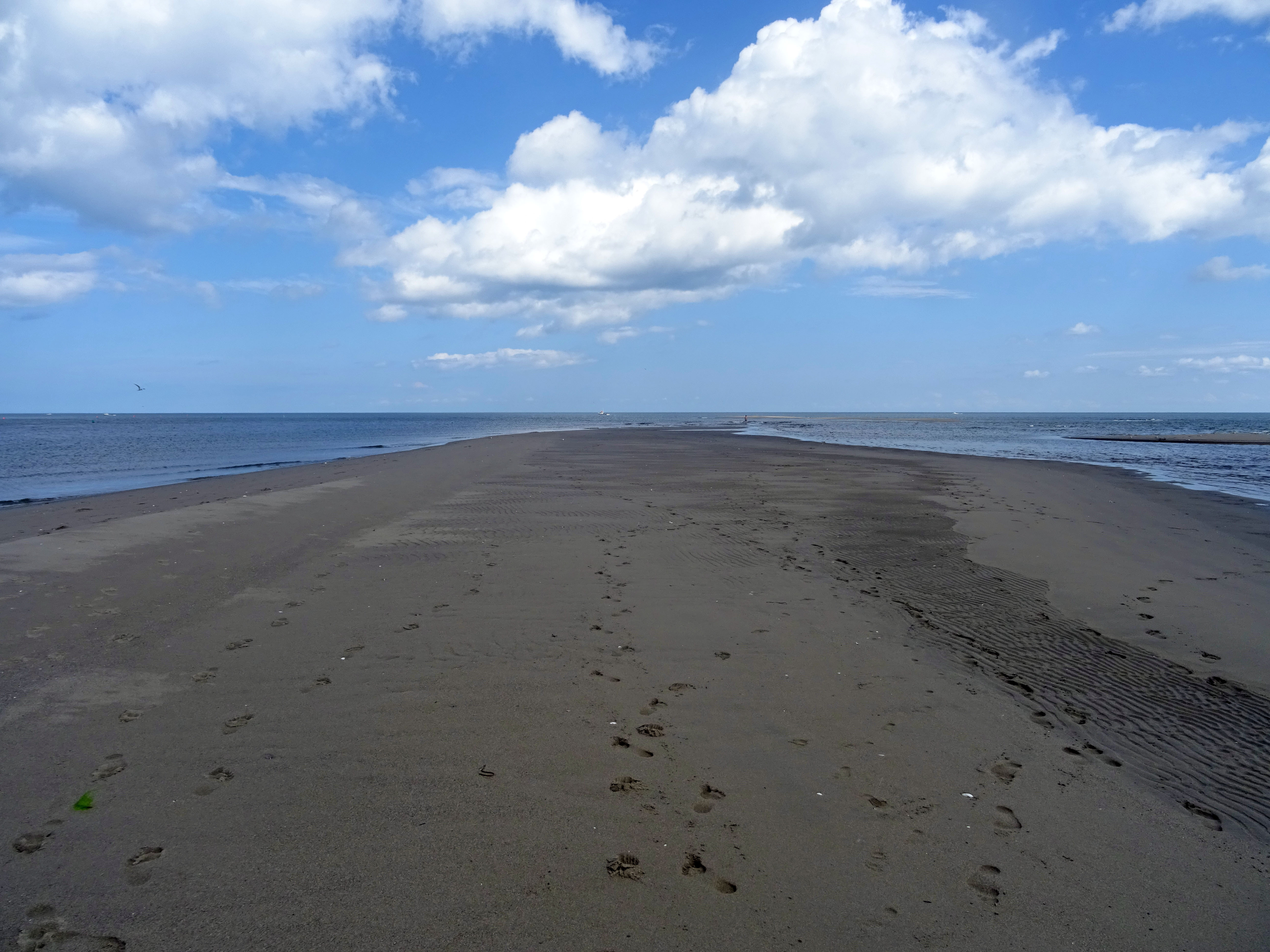 Plage Canada nouveau brunswick parc national kouchibouguac