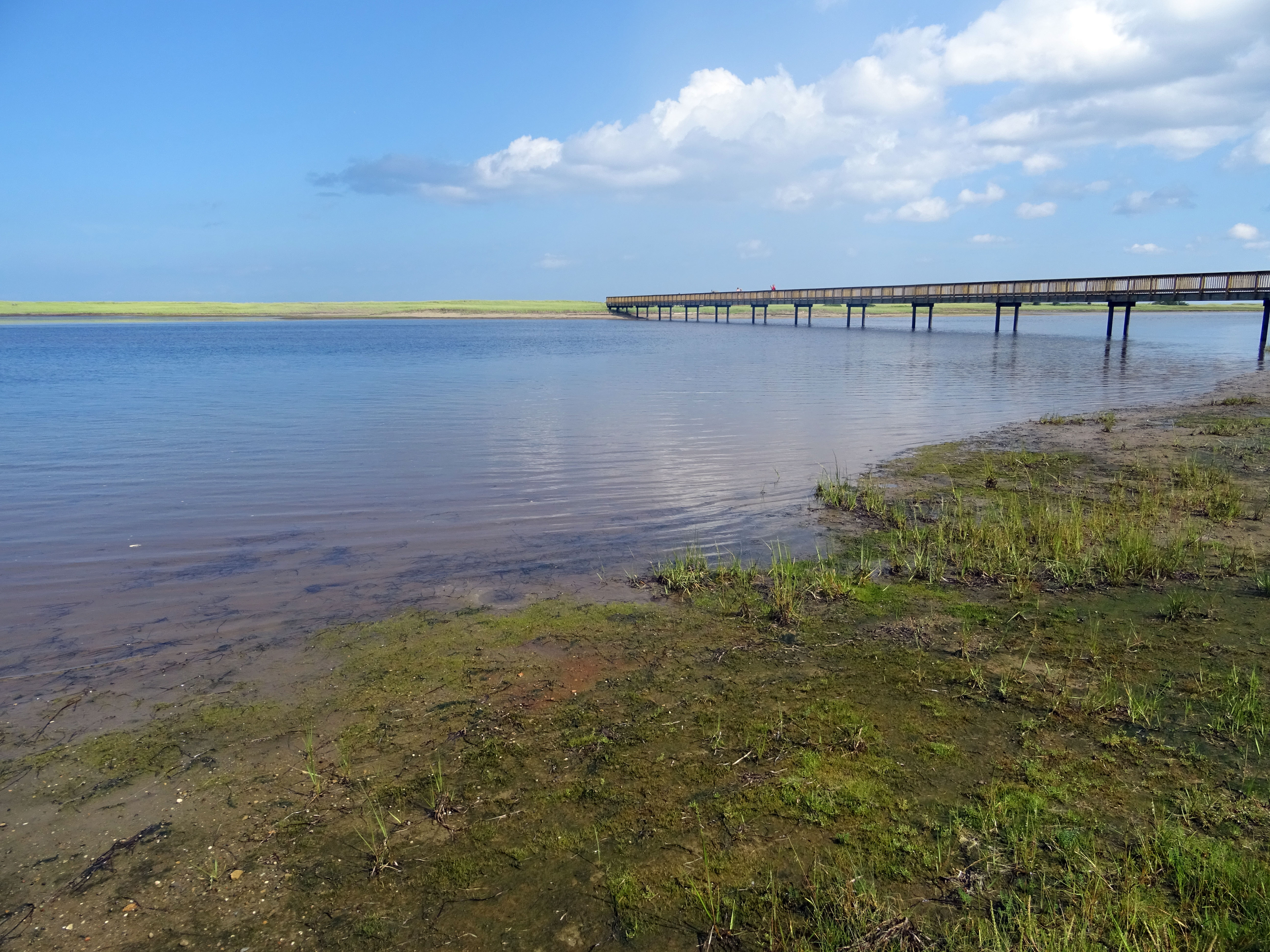 Canada nouveau brunswick parc national kouchibouguac