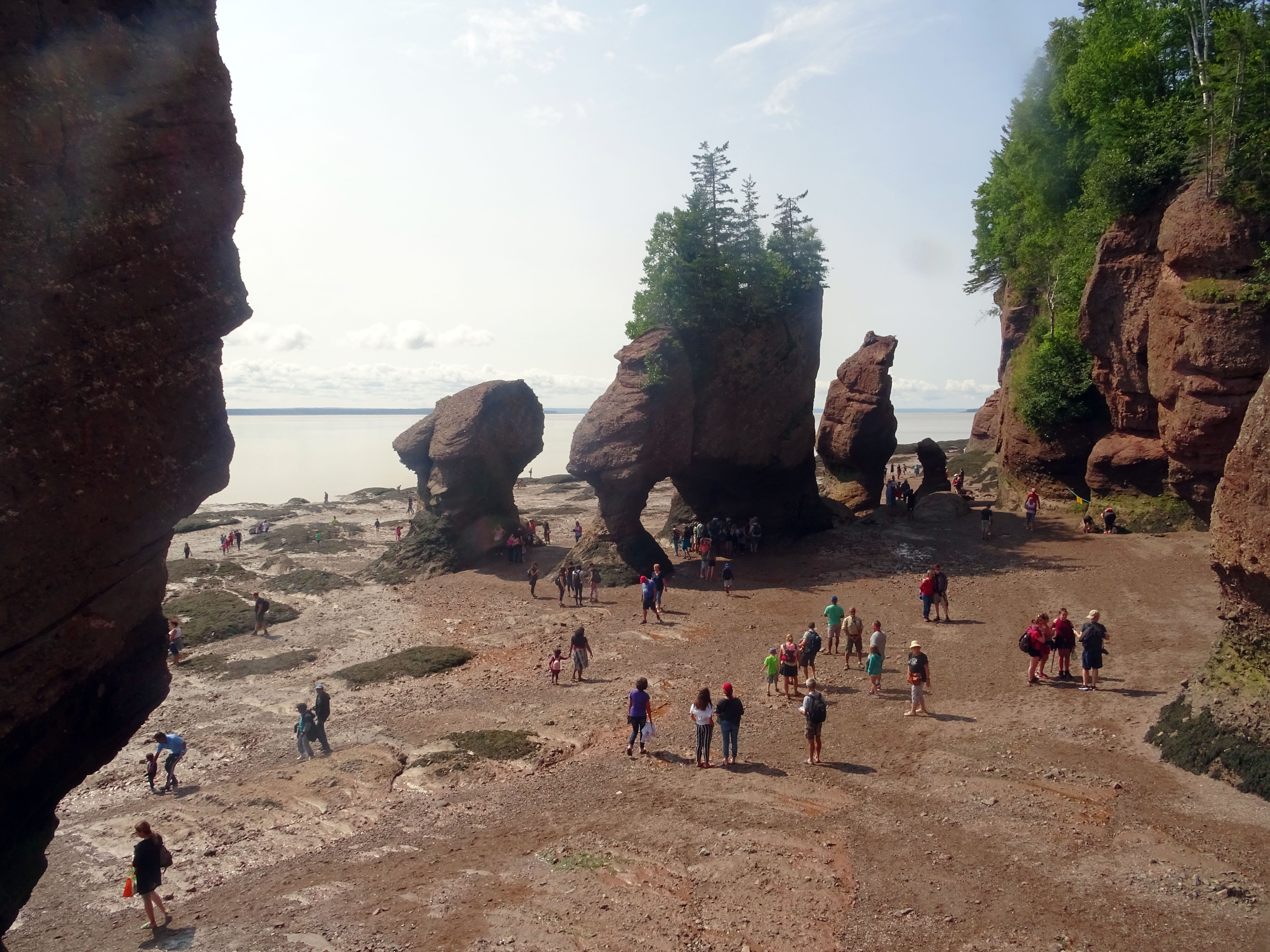 canada nouveau brunswick hopewell rocks