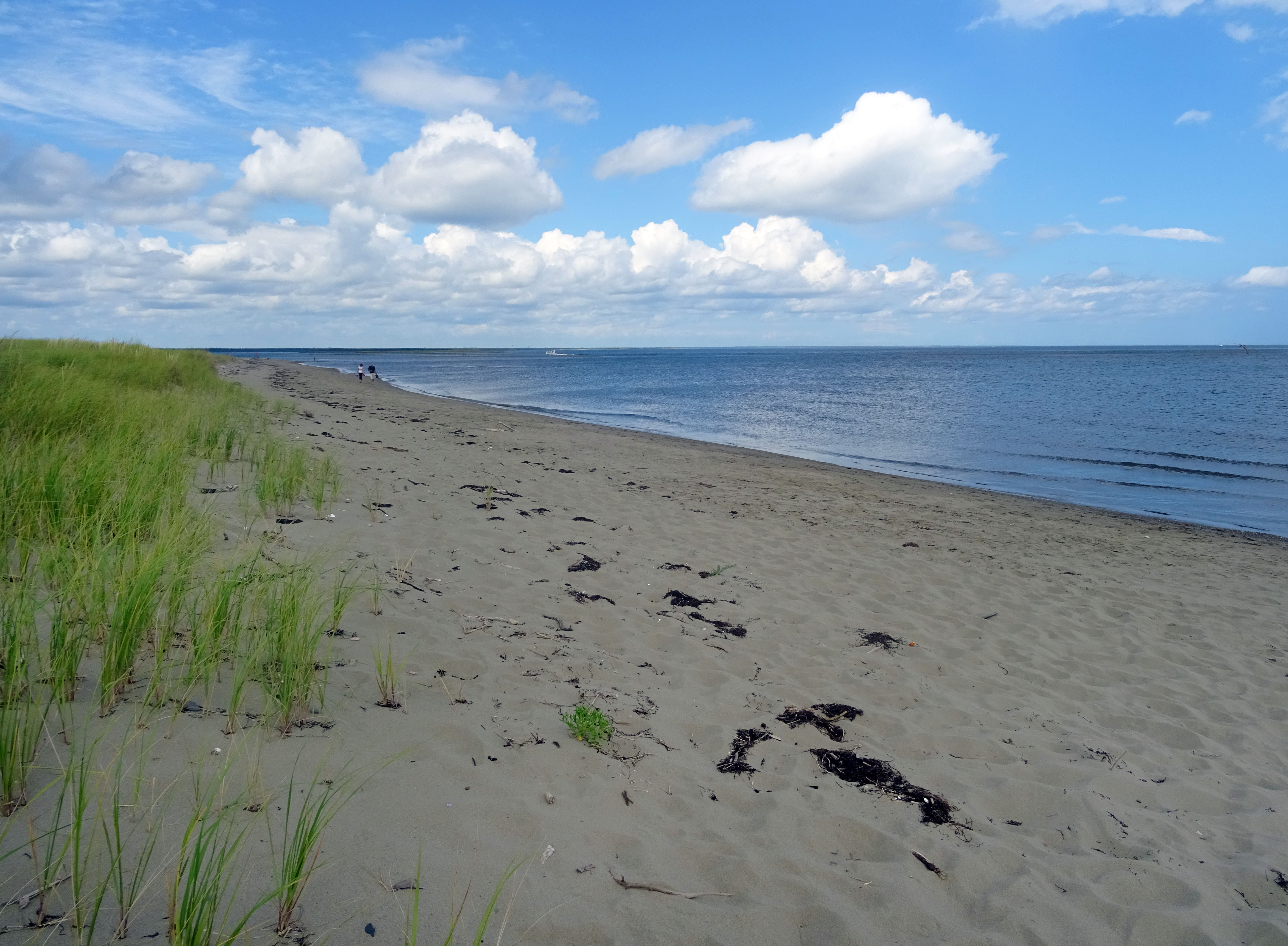 plage canada nouveau brunswick parc national kouchibouguac