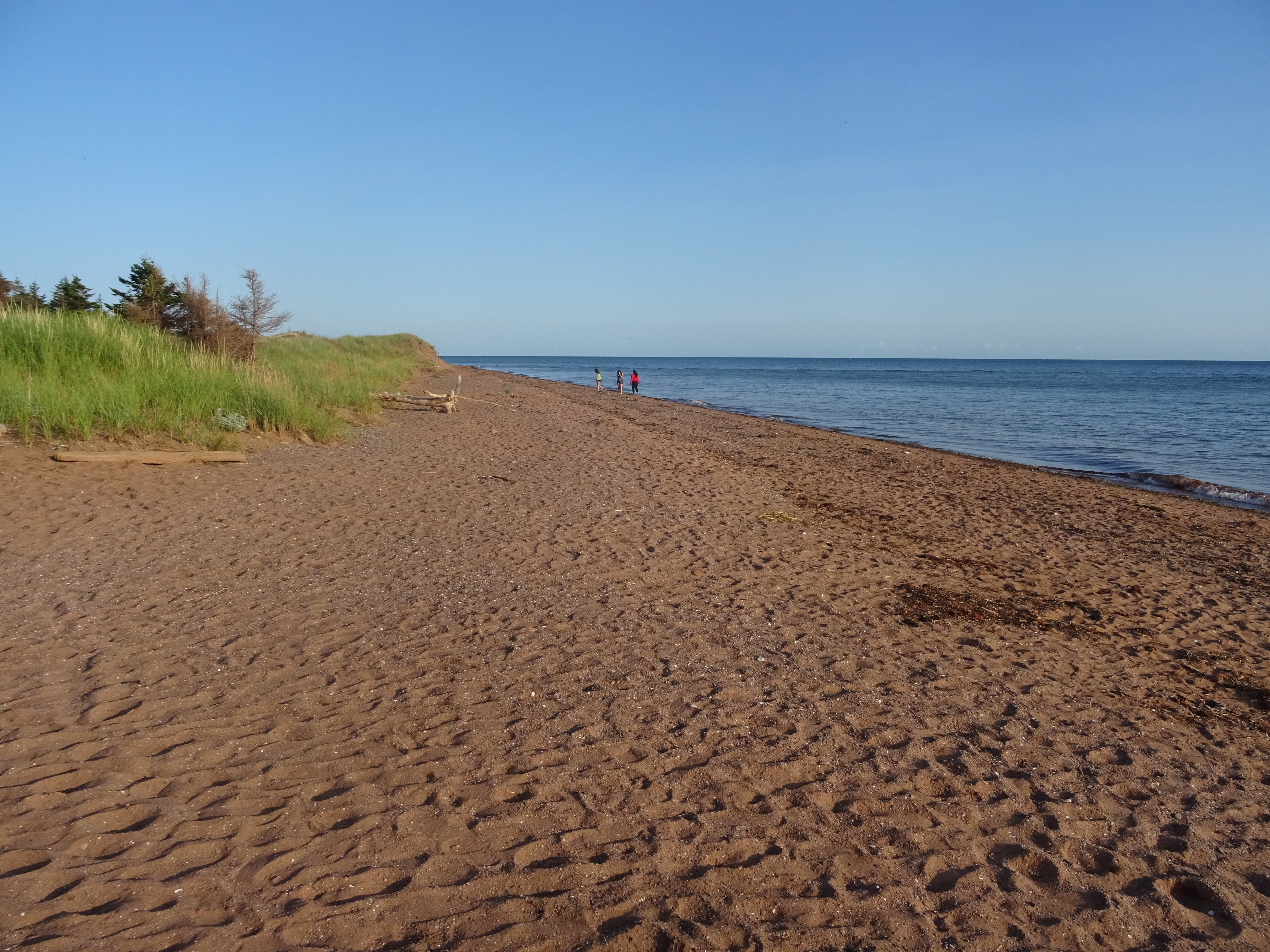 Plage Canada Ile du Prince edouard cedar dunes provincial park road trip itinéraire