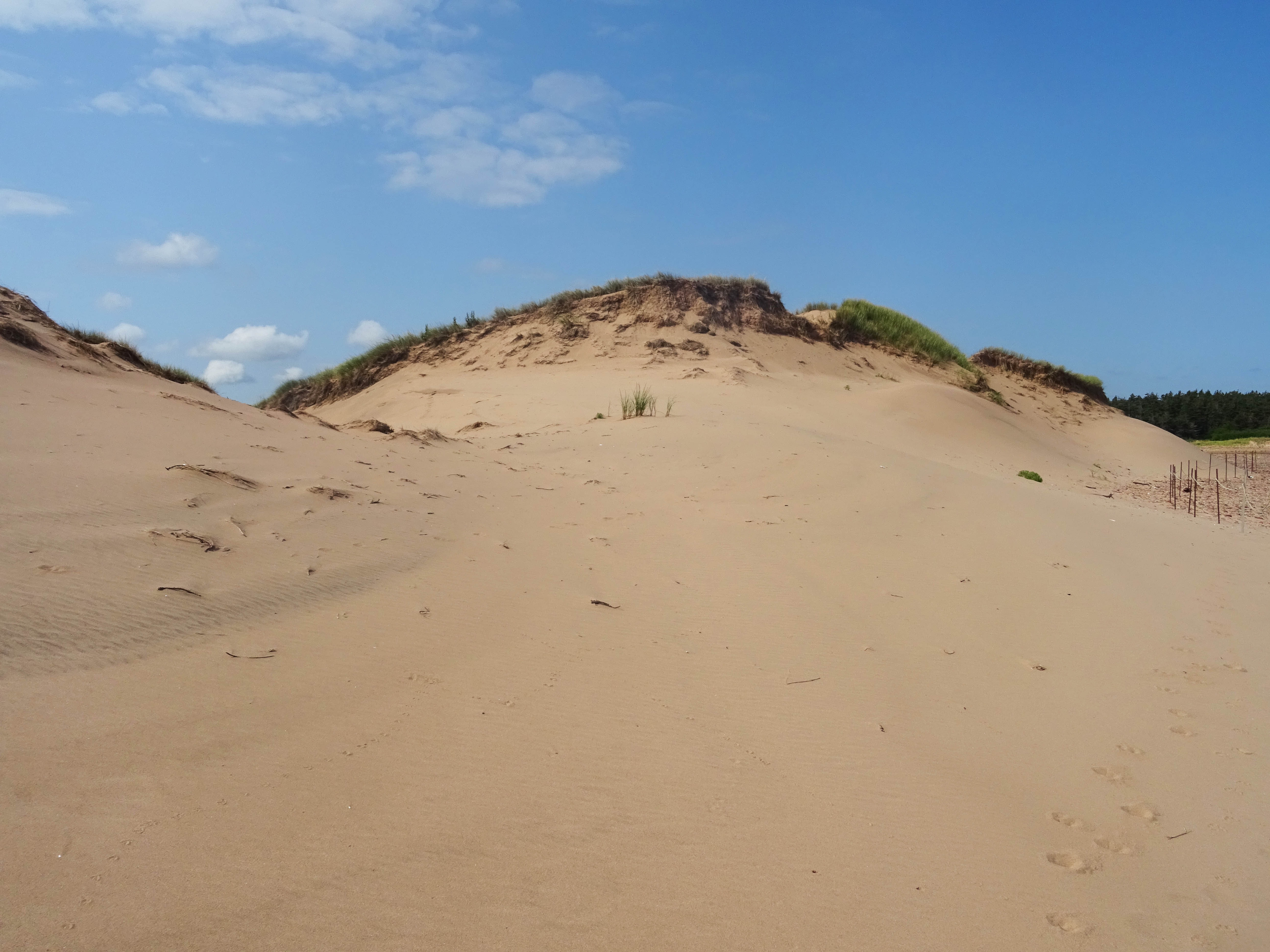 Cavendish Dunes Ile du prince edouard plage canada