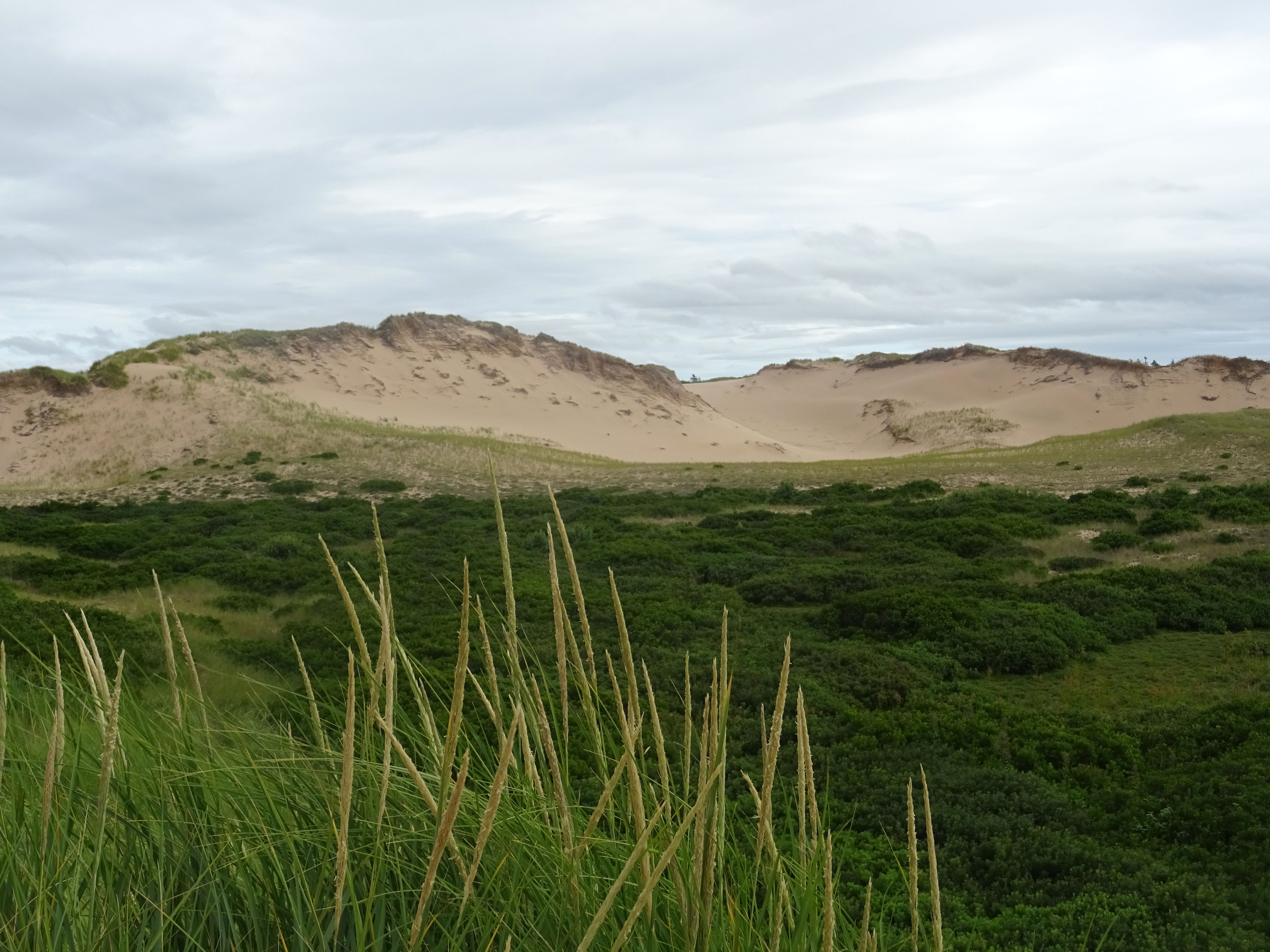 Parc national de l'île du prince edouard greenwich dunes de sable itinéraire road trip est canadien en été