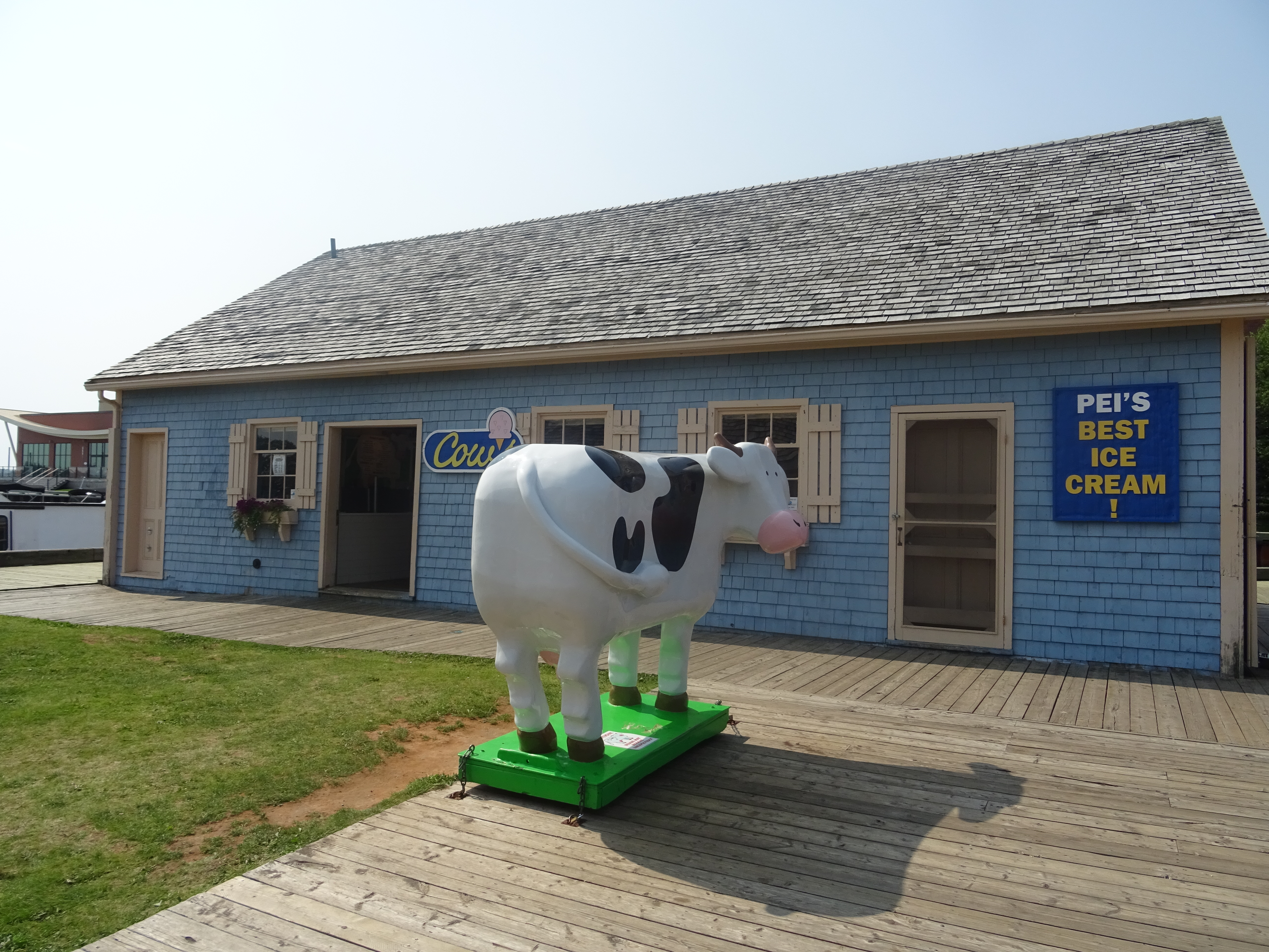 Cows glace Ile du prince edouard canada itinéraire road trip est canadien en été