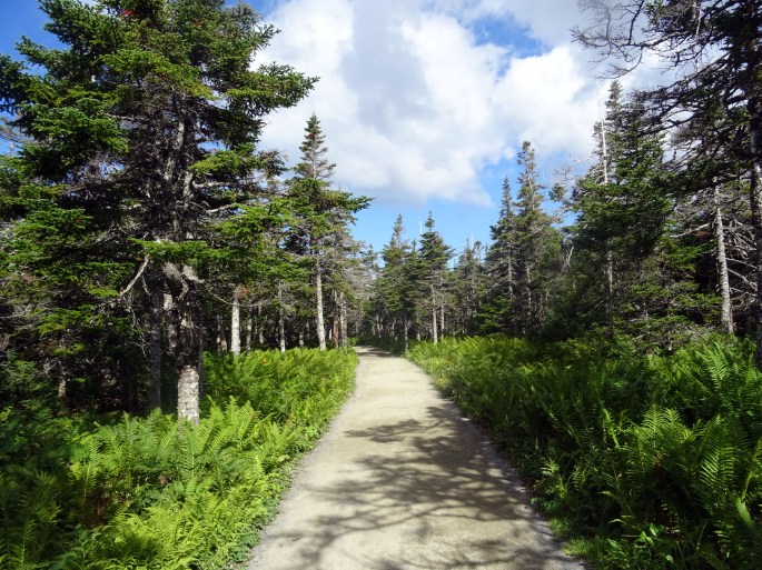 Cabot trail Skyline Trail Parc national du Cap Breton Nouvelle écosse itinéraire road trip est canadien randonnée