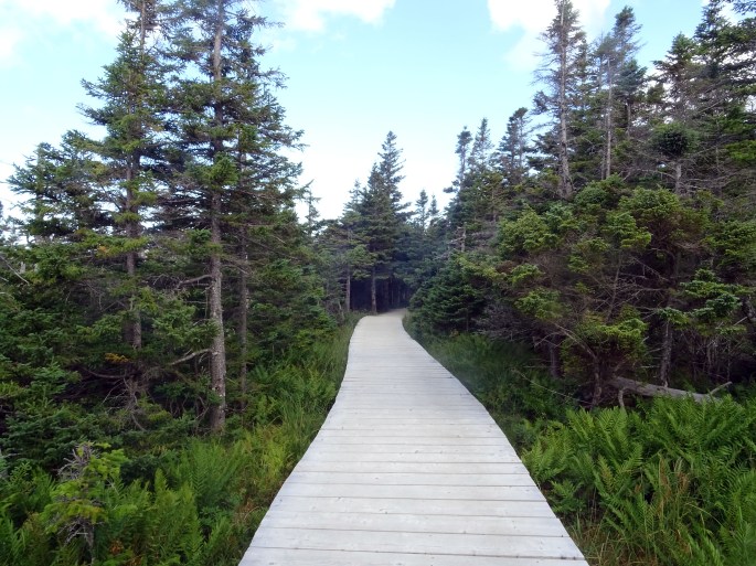 Cabot trail Skyline Trail Parc national du Cap Breton Nouvelle écosse itinéraire road trip est canadien randonnée