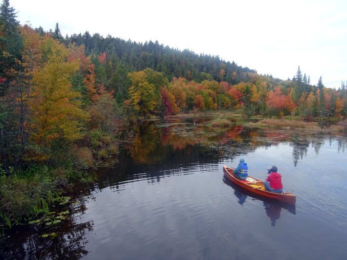 Randonne facile d'automne à proximité de Québec city pour voir les couleurs : réserve naturelle des marais du nord Canada