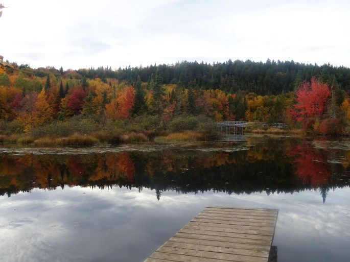 Randonnée facile d'automne à proximité de Québec city pour voir les couleurs : réserve naturelle des marais du nord Canada