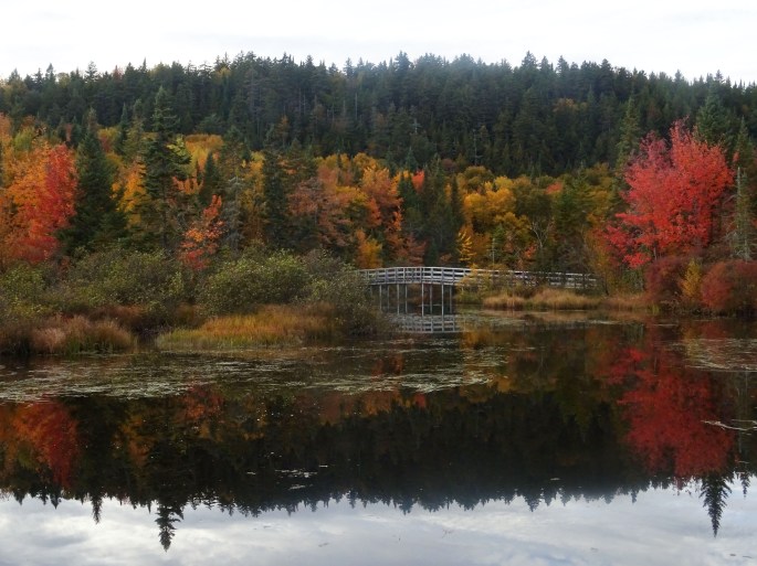 Randonnée facile d'automne à proximité de Québec city pour voir les couleurs : réserve naturelle des marais du nord Canada