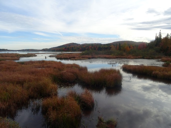 Randonnée d'automne Réserve naturelle des marais du nord canada