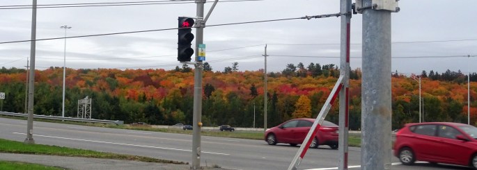 Paysage d'automne au Québec vue depuis la route