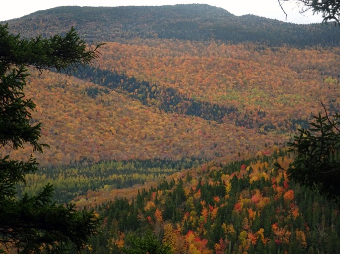 Activité d'automne au Québec : où voir les couleurs ? Vallée Bras du Nord, Canada