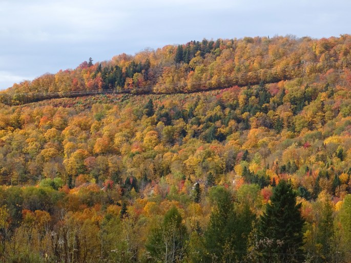 Où voir les couleurs d'automne à proximité de Québec city ? Randonnée au Mont Wright, Canada