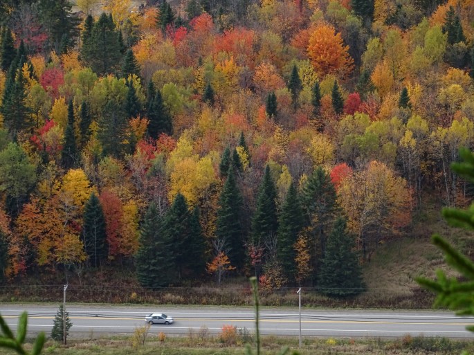 L'automne au Québec : Activité à faire à proximité de Québec city
