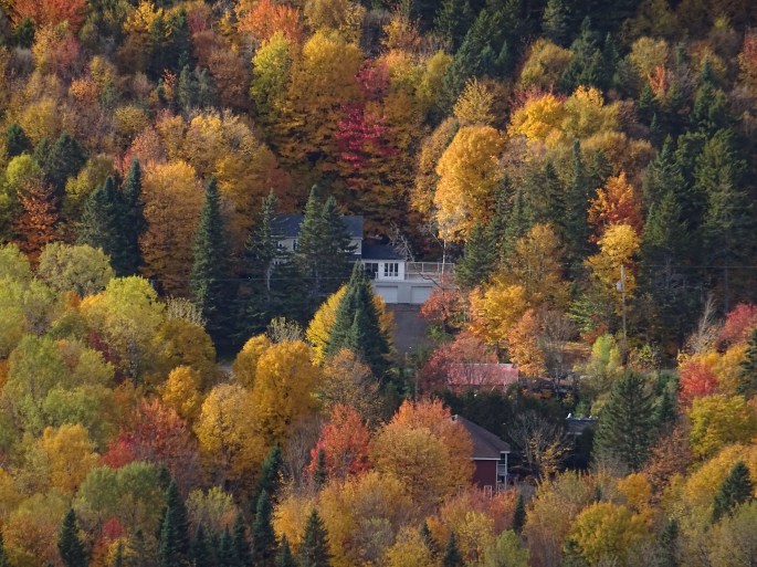 où voir les couleurs d'automne à proximité de Québec city ? Randonnée au Mont Wright, Canada